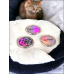 3-Pack of Feline Complete on Glass Cabachons
