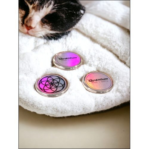 3-Pack of Feline Complete on Glass Cabachons