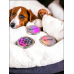 3-Pack of Canine Complete on Glass Cabachons