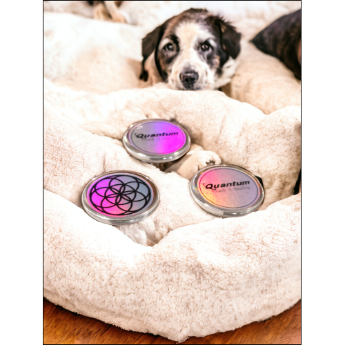 3-Pack of Canine Complete on Glass Cabachons