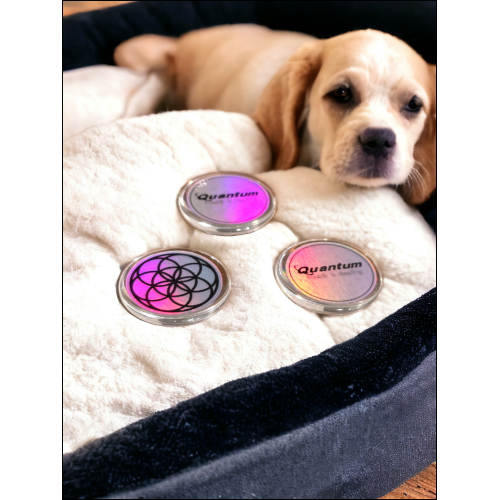 Canine Complete Imprinted Holograms